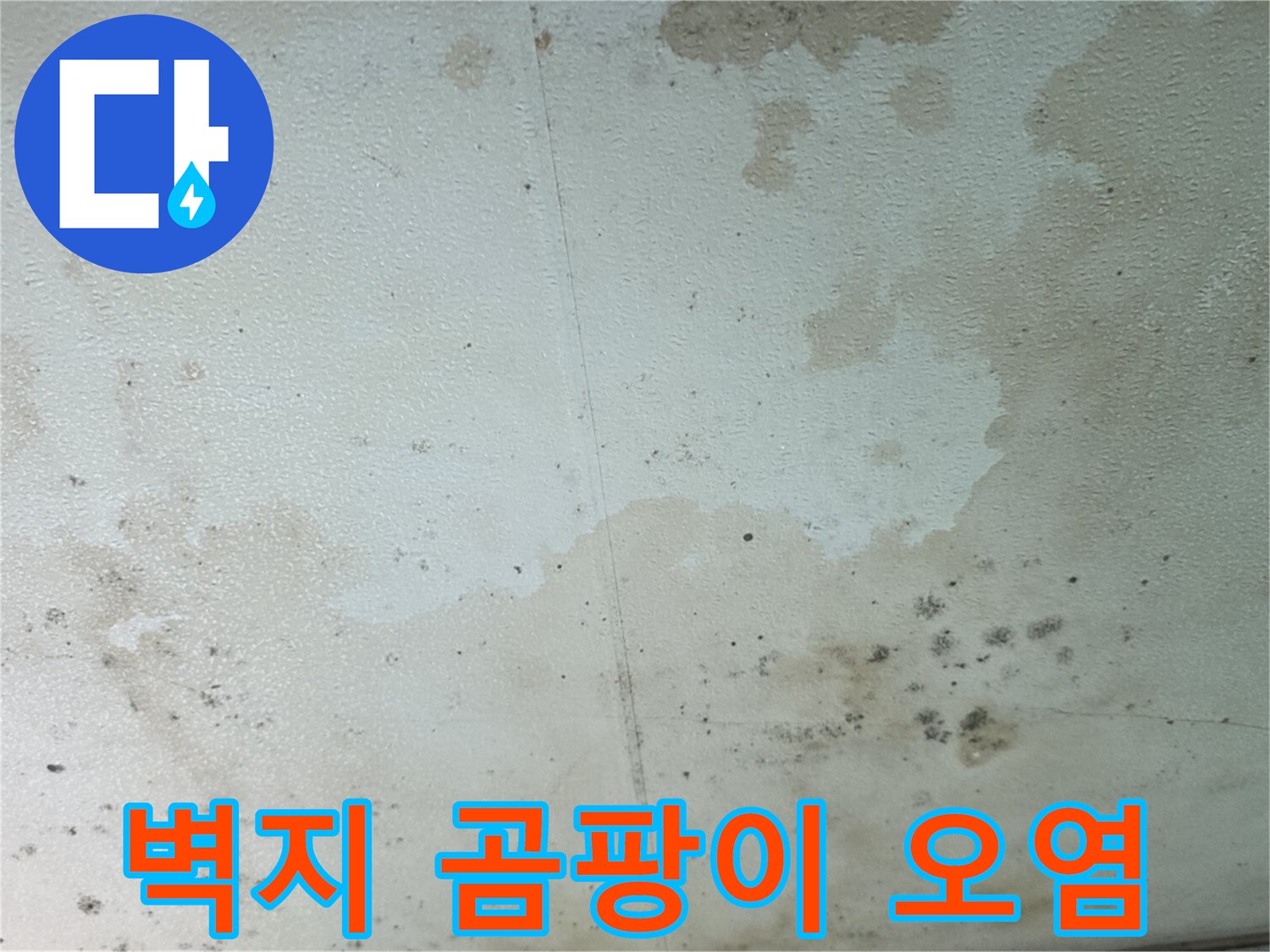 벽면 벽지에 발생한 곰팡이와 누수 흔적 사진