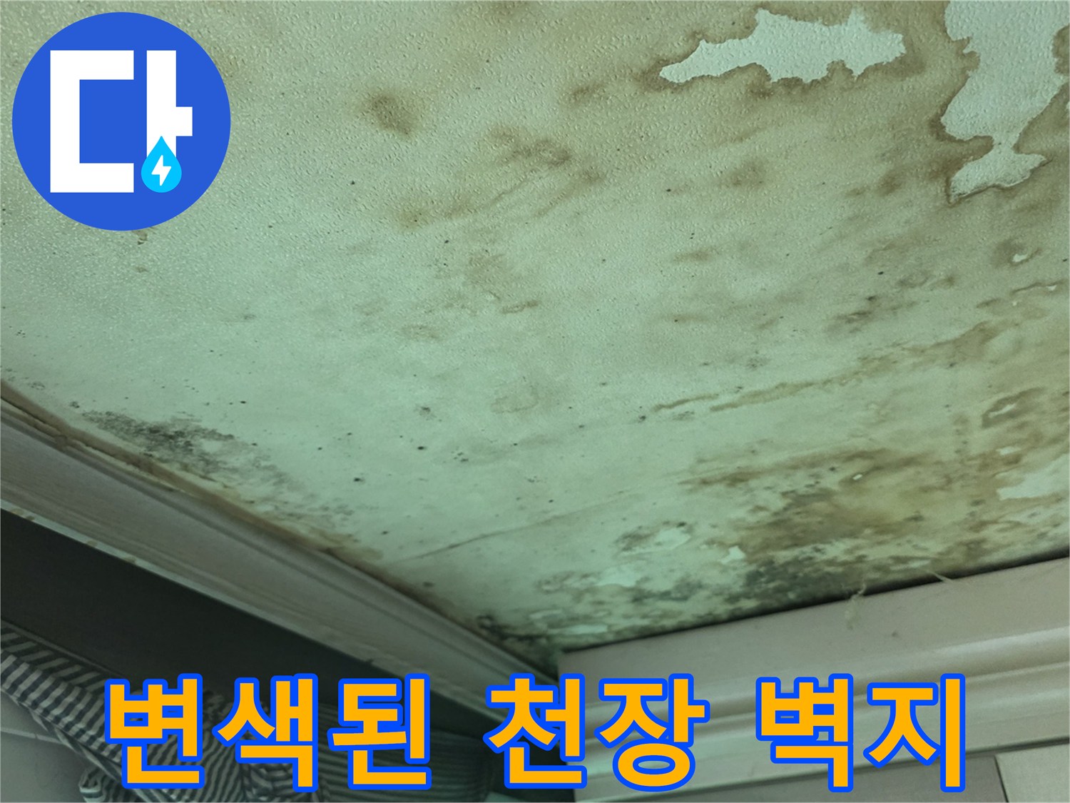 습기로 인해 갈색으로 변한 천장 도배지 상태 - 누수 진단 현장