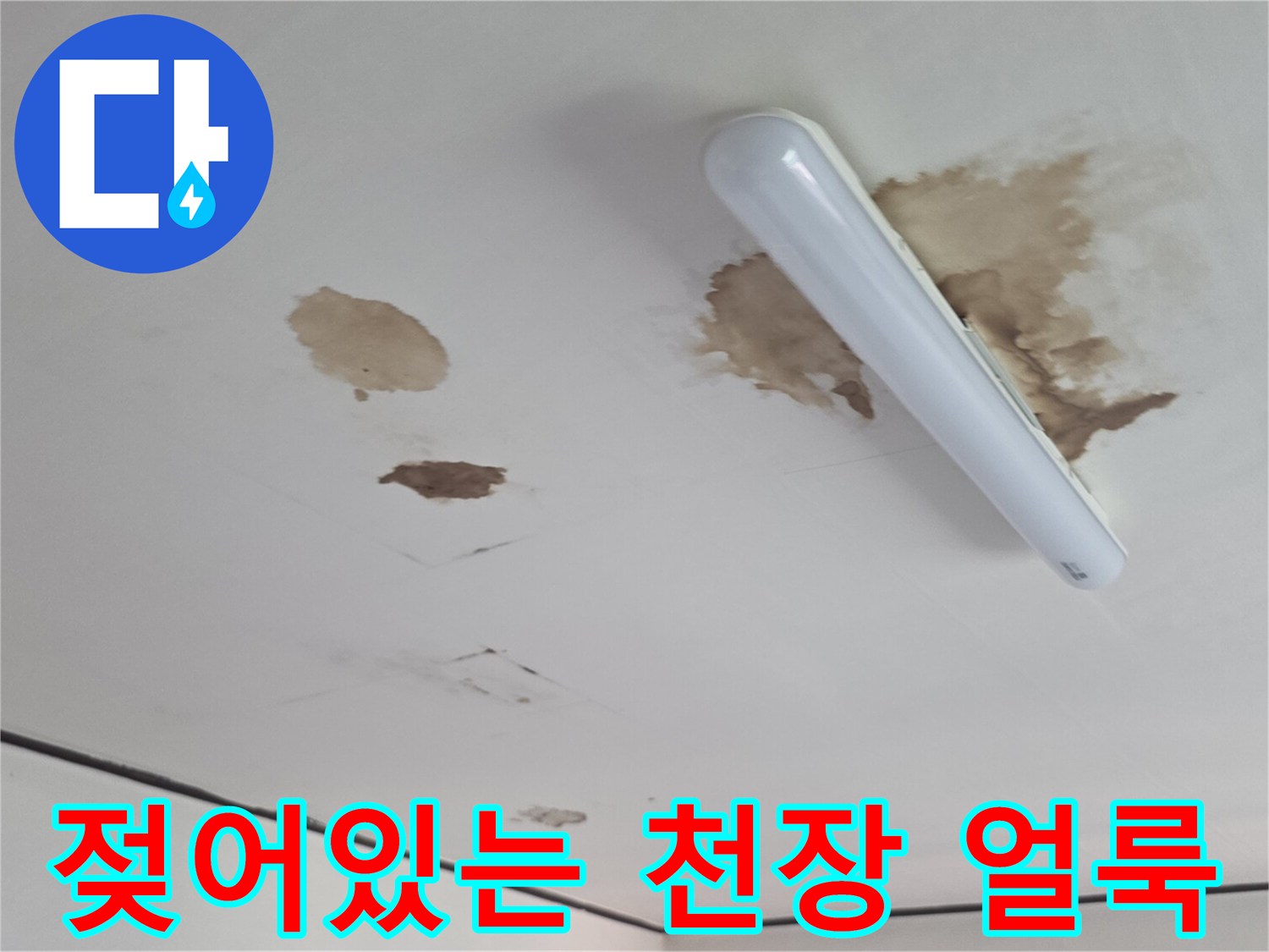 천장 조명 근처의 갈색 누수 피해 부위 사진