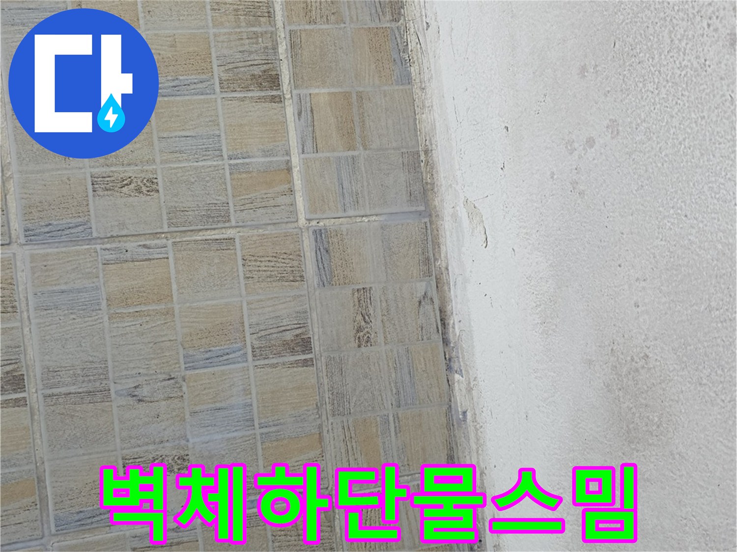 벽면과 타일 경계의 습기 침투 및 곰팡이