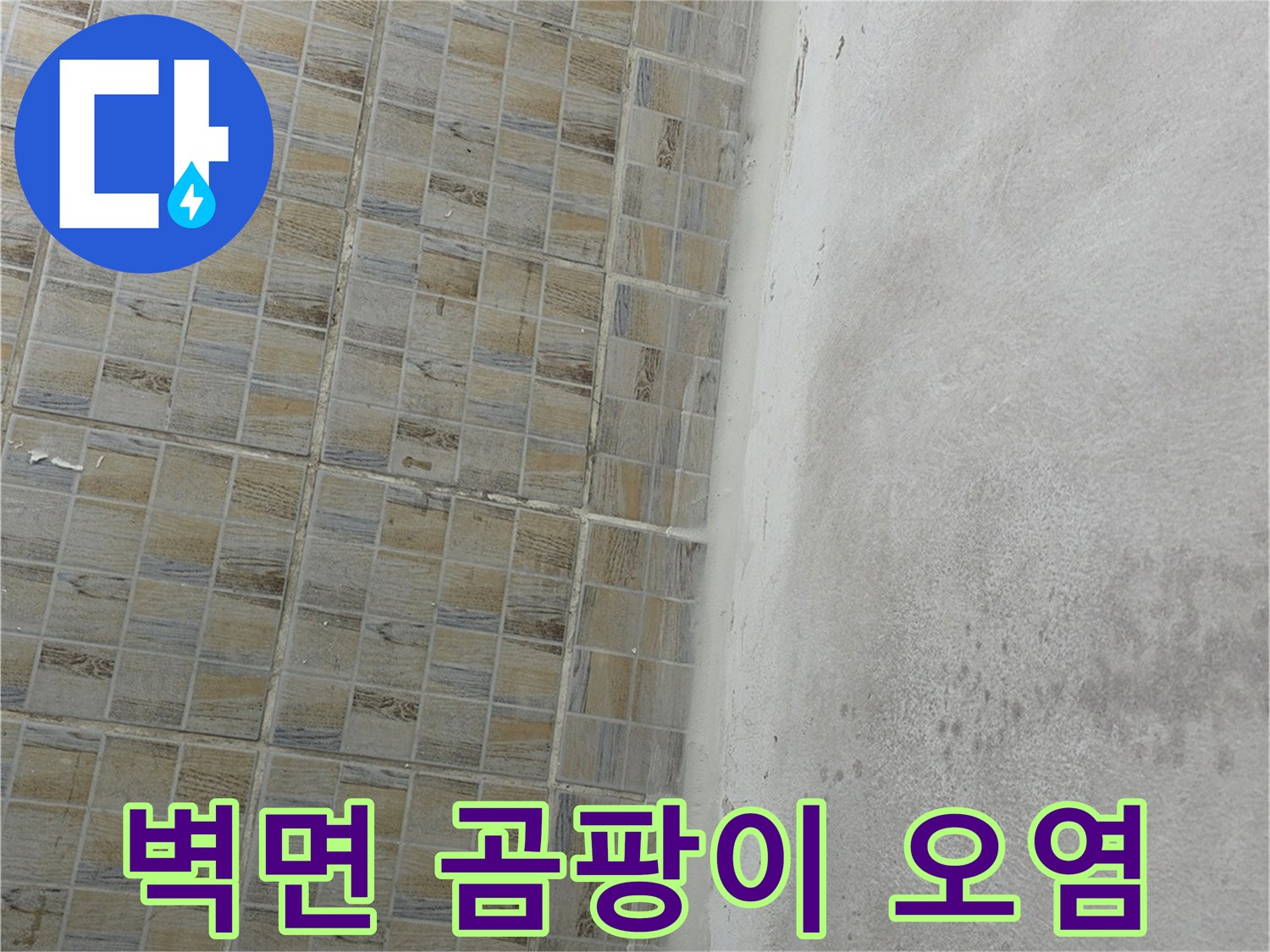 습기로 인해 검게 변한 천장 부위의 오염 상태