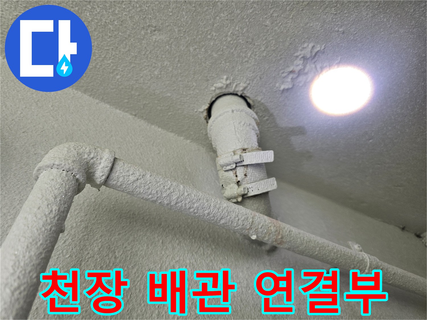 세탁실 천장-배수관 연결 부위 상태 확인