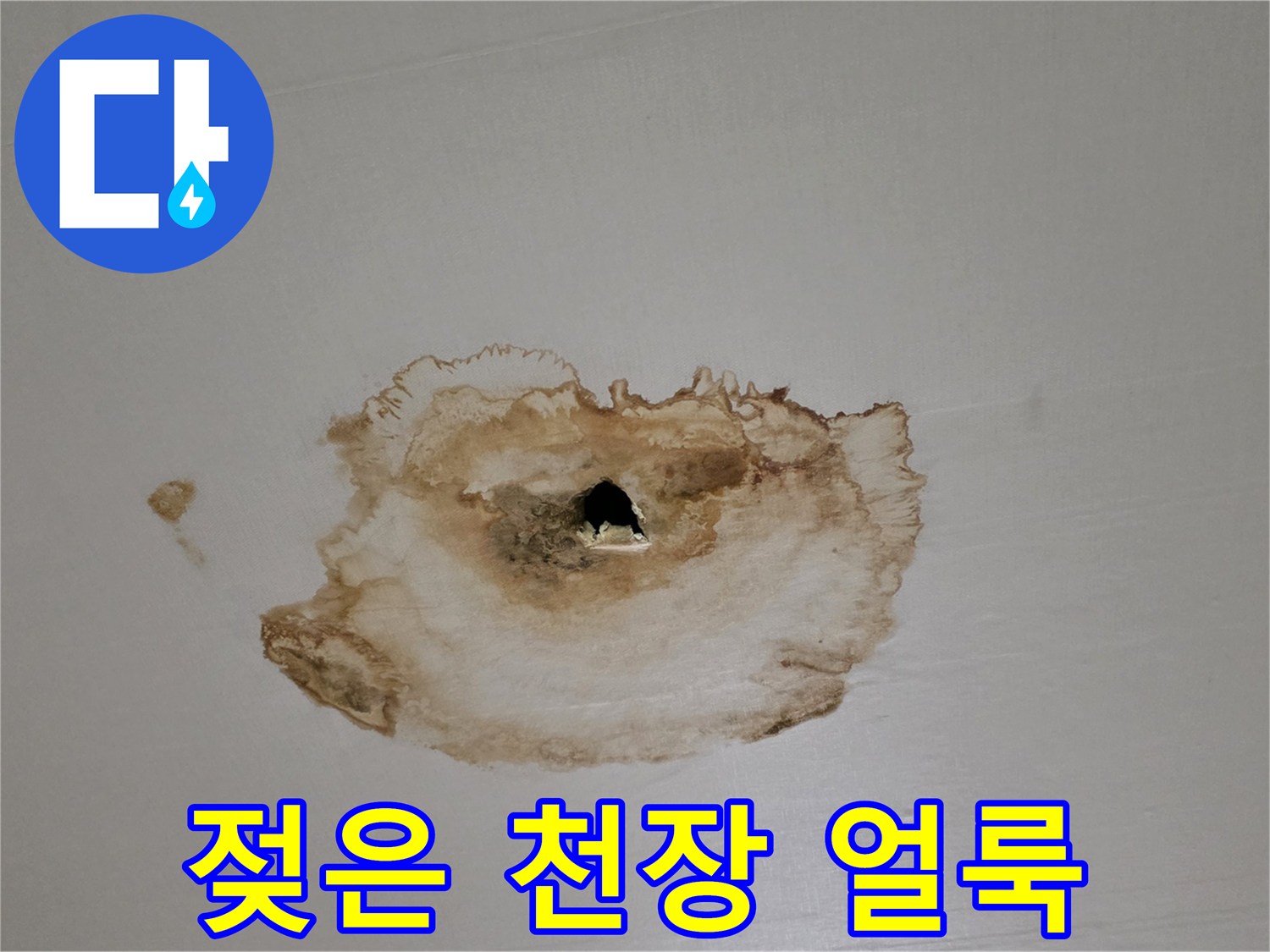 물에 젖어 변색된 거실 천장 부위