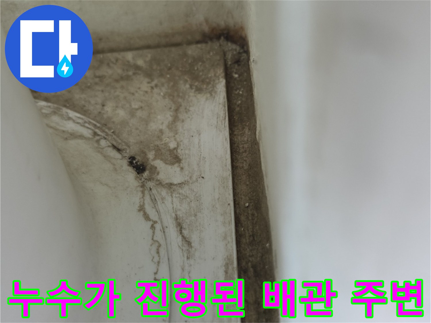 배수구-주변-틈새-물샘-흔적-사진