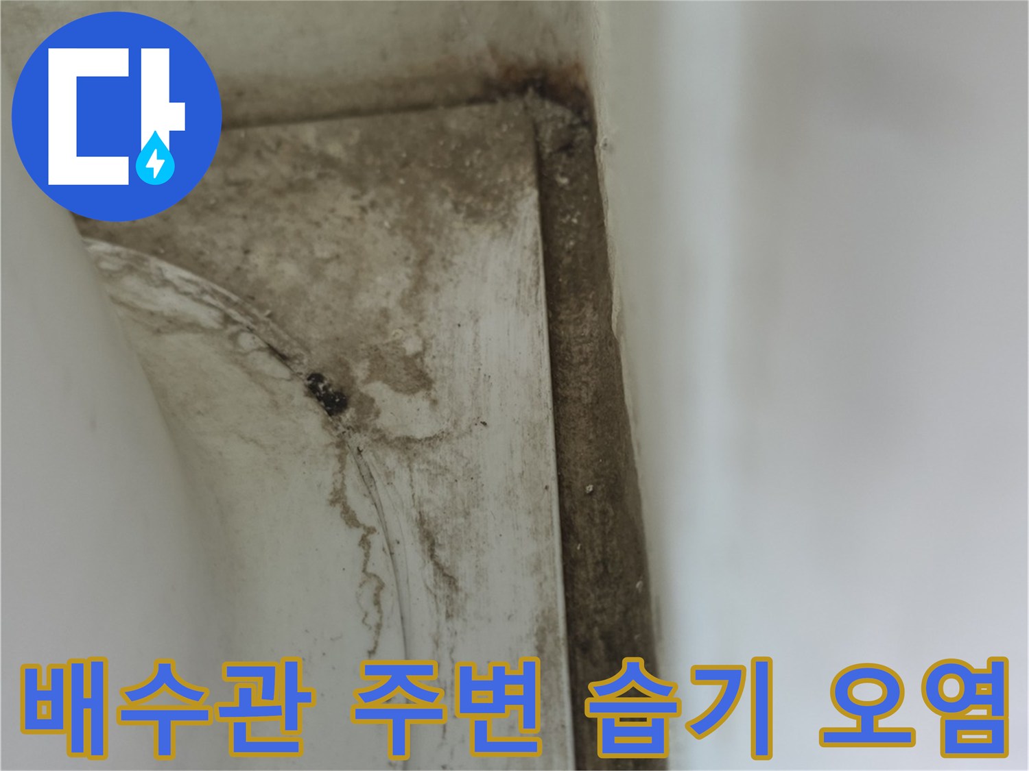 세탁실 배수 파이프 근처의 젖은 타일과 오염된 틈새