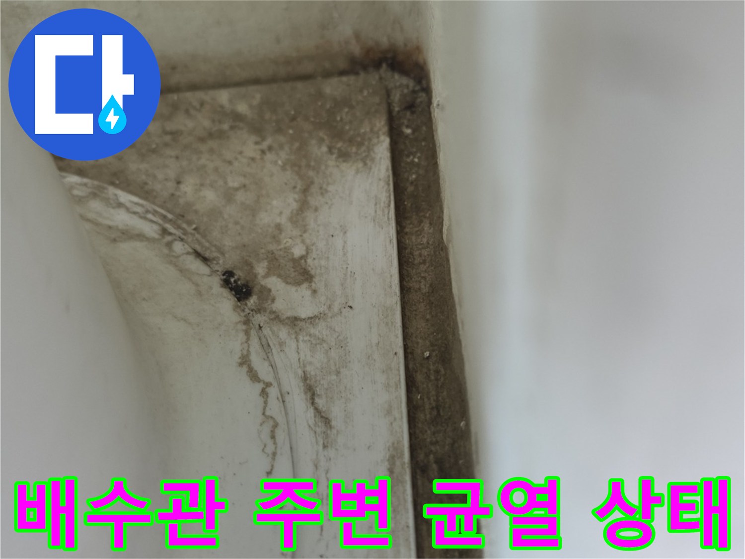 세탁실 배수 파이프 하단부의 습기 머금은 균열 부위
