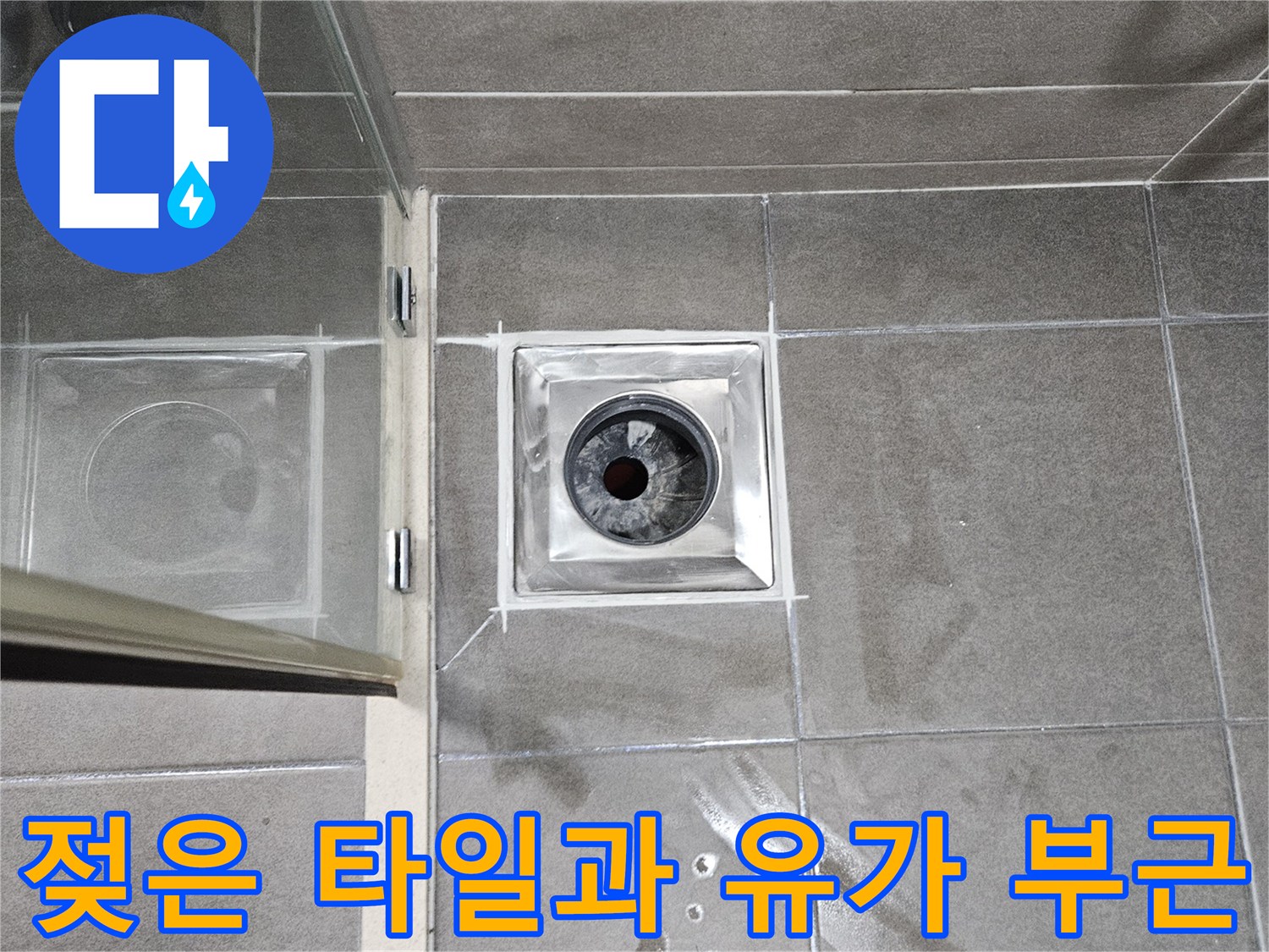 서산 성연동 화장실-배수구 주변의 젖은 타일 표면