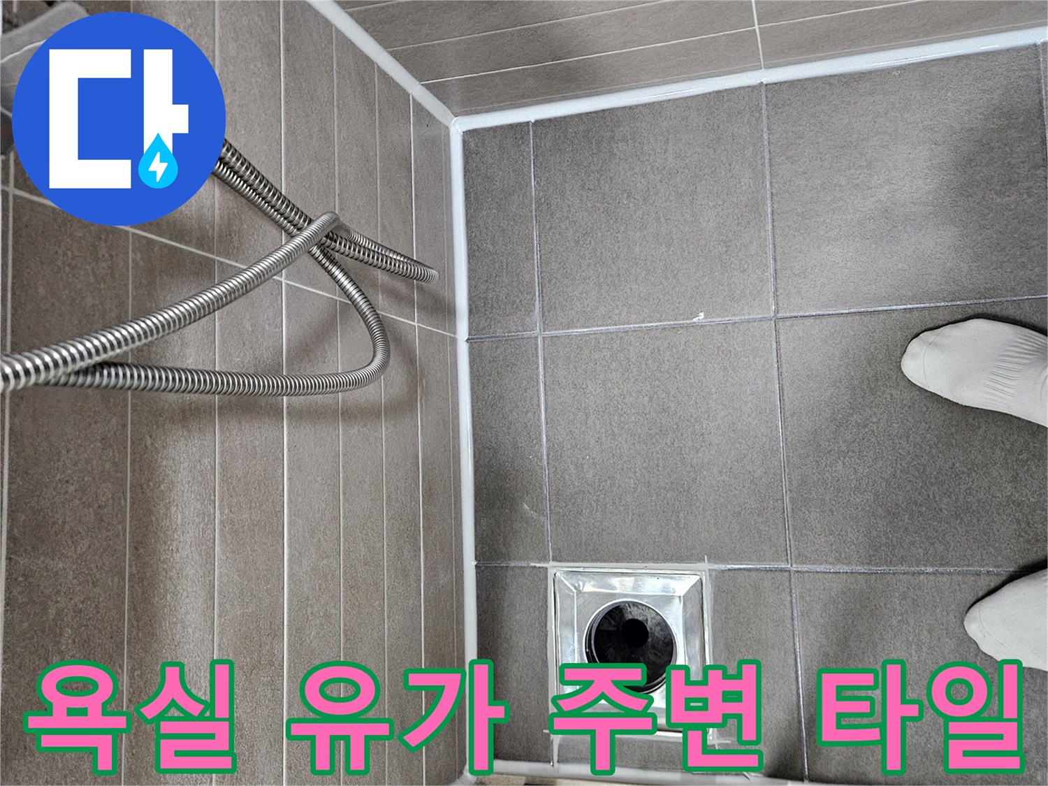 서산 성연면 아파트 욕실 배수구와 타일 근접 촬영