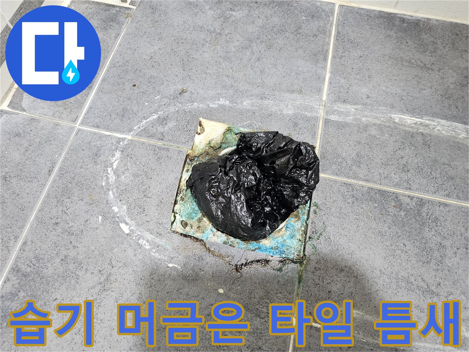 연수구 현장-타일 사이 하얀 백화 현상과 습기