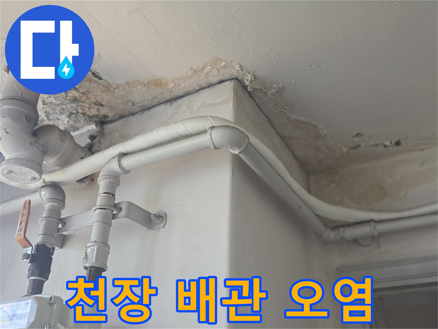 상단 배관-젖은 천장 표면-누수 증상 관찰