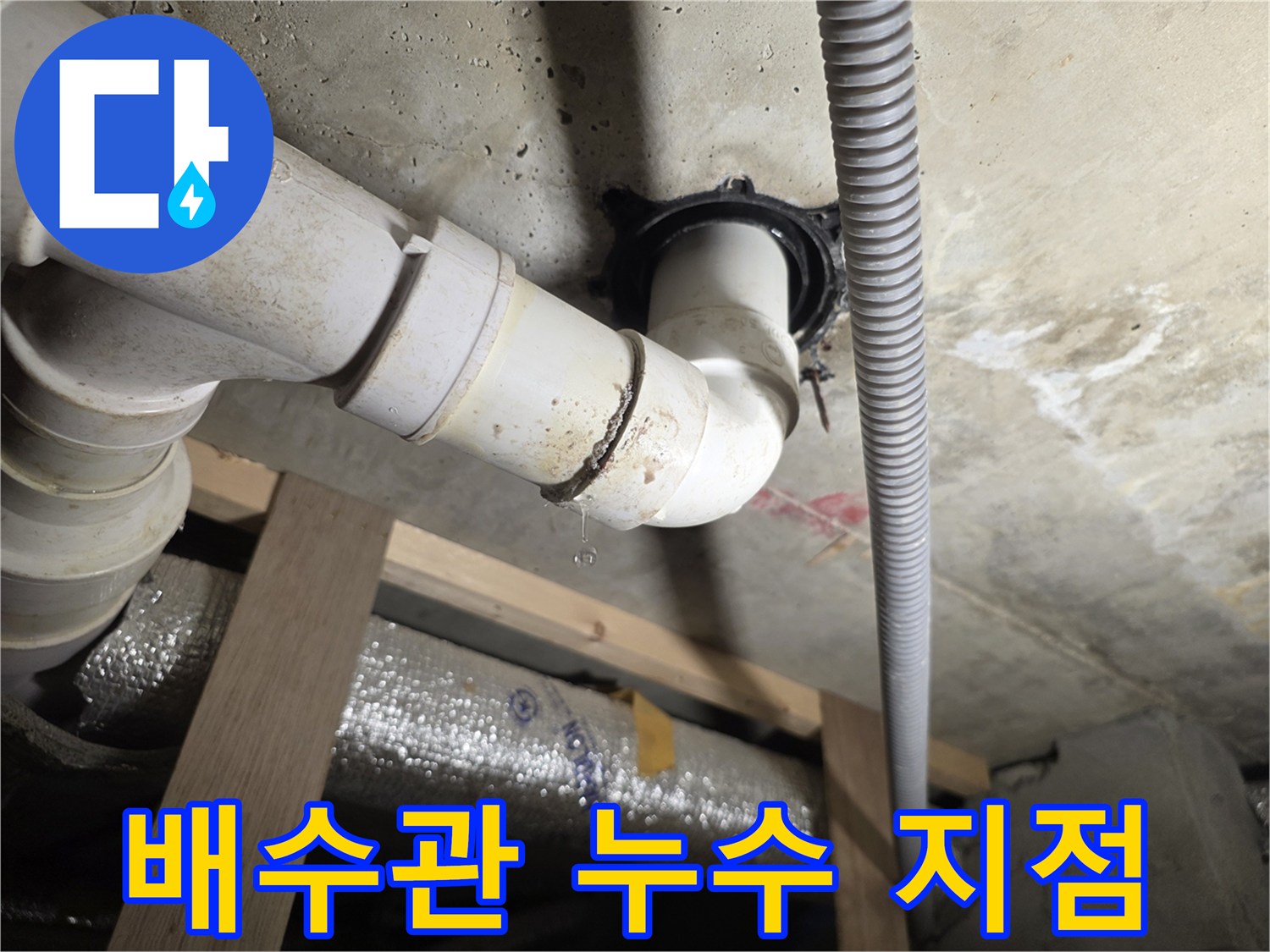 서대모구-세탁실-배수관-연결부-물샘-현상-확인