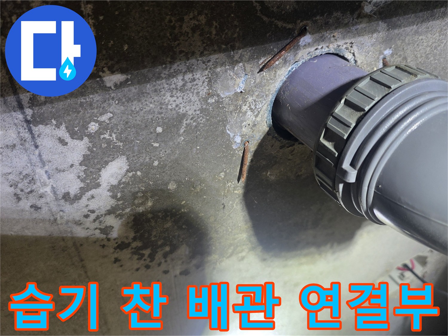 향남 현장 - 물샘이 발생한 하수 배관 주변 모습