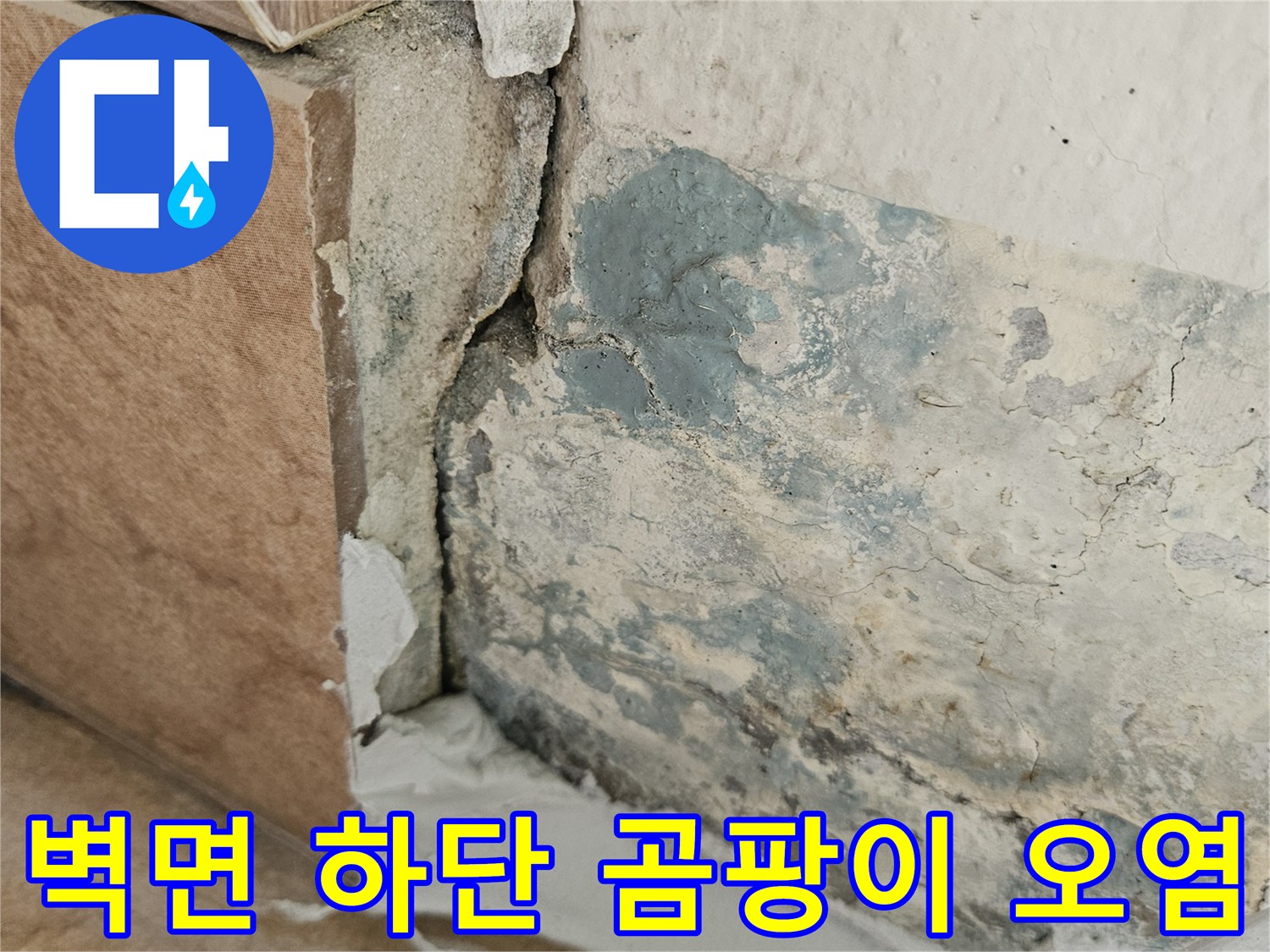 습기로 인해 부식된 벽면과 타일 경계 부위 사진
