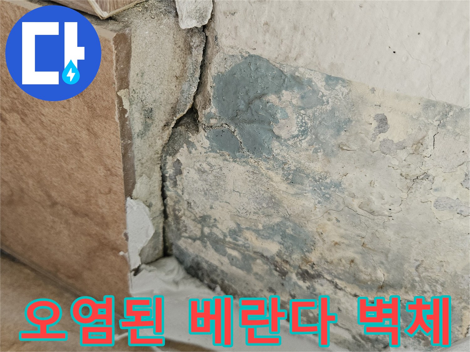 습기에-노출되어-변색된-벽면과-타일-접합부
