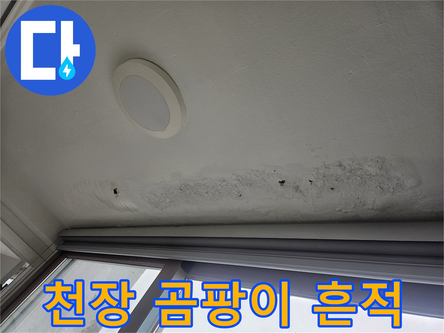 창가 천장 부근의 곰팡이와 얼룩 현상