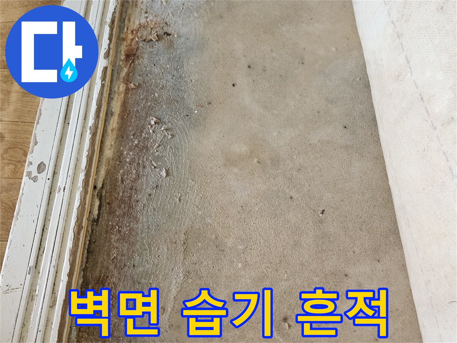 습기로 인해 갈색으로 얼룩진 벽면 하단부