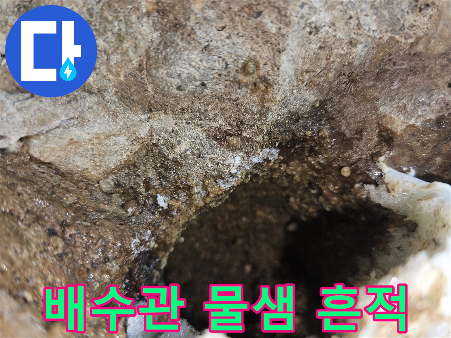 하수도-배관-주변-물샘-및-습기-흔적