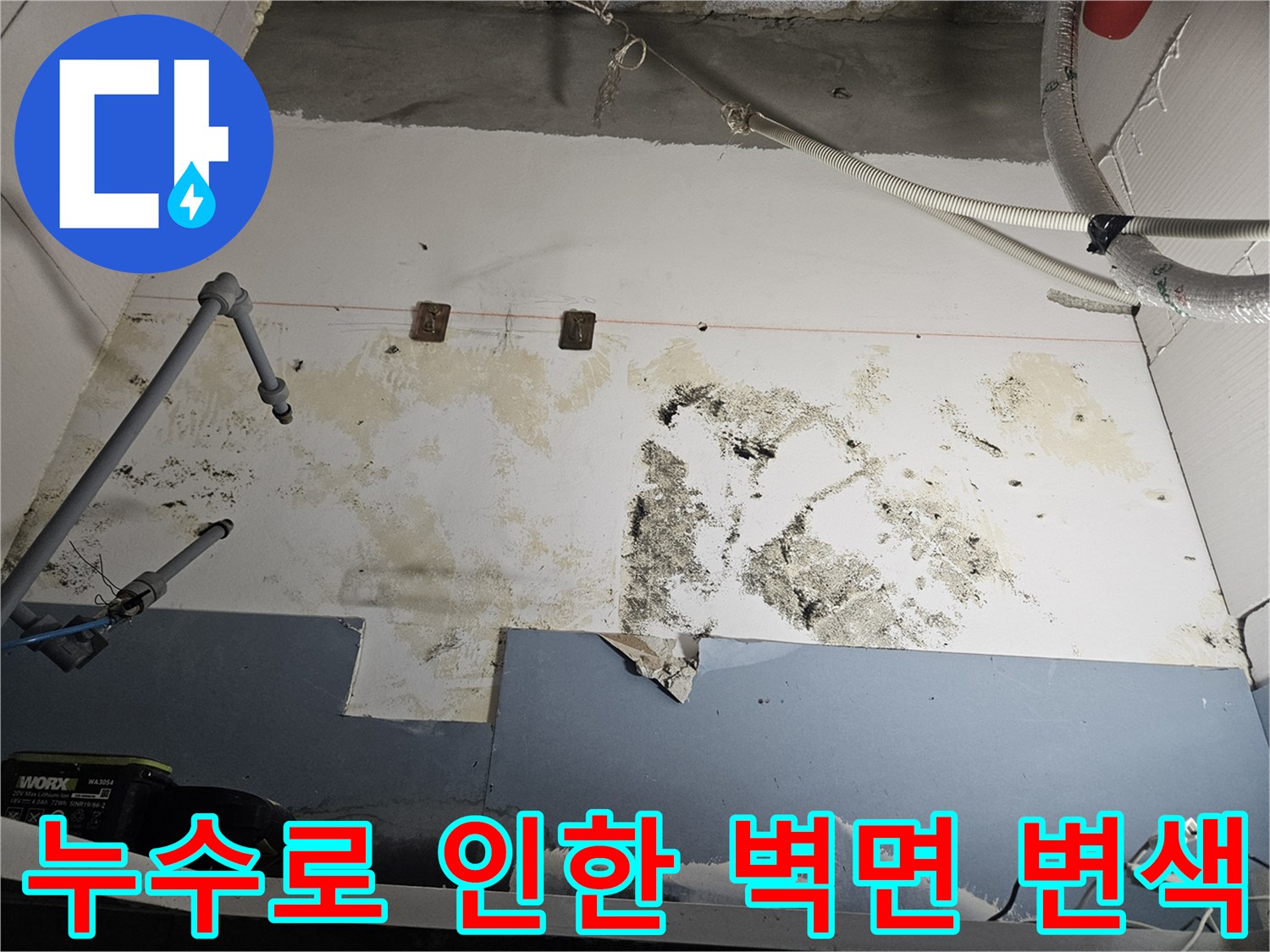 습기에-젖은-벽면과-검은-곰팡이