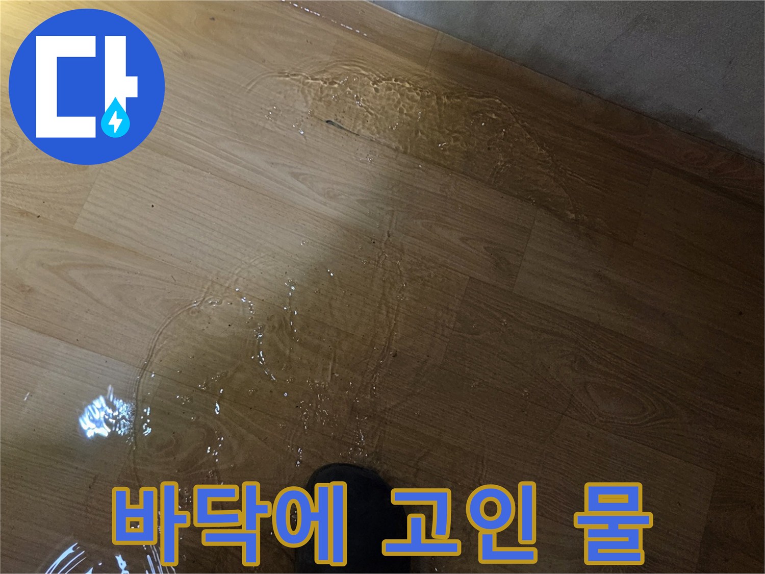 마루-틈새로-스며나온-누수-물기