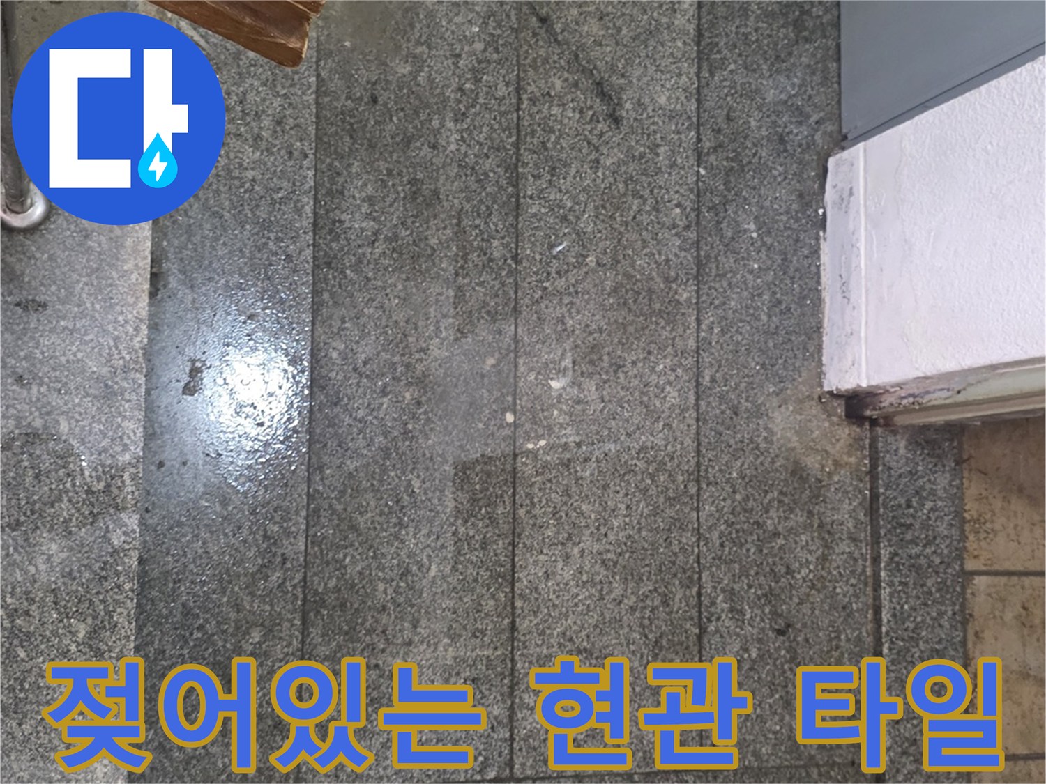 습기가 올라온 현관 바닥 타일과 문 주변 상태