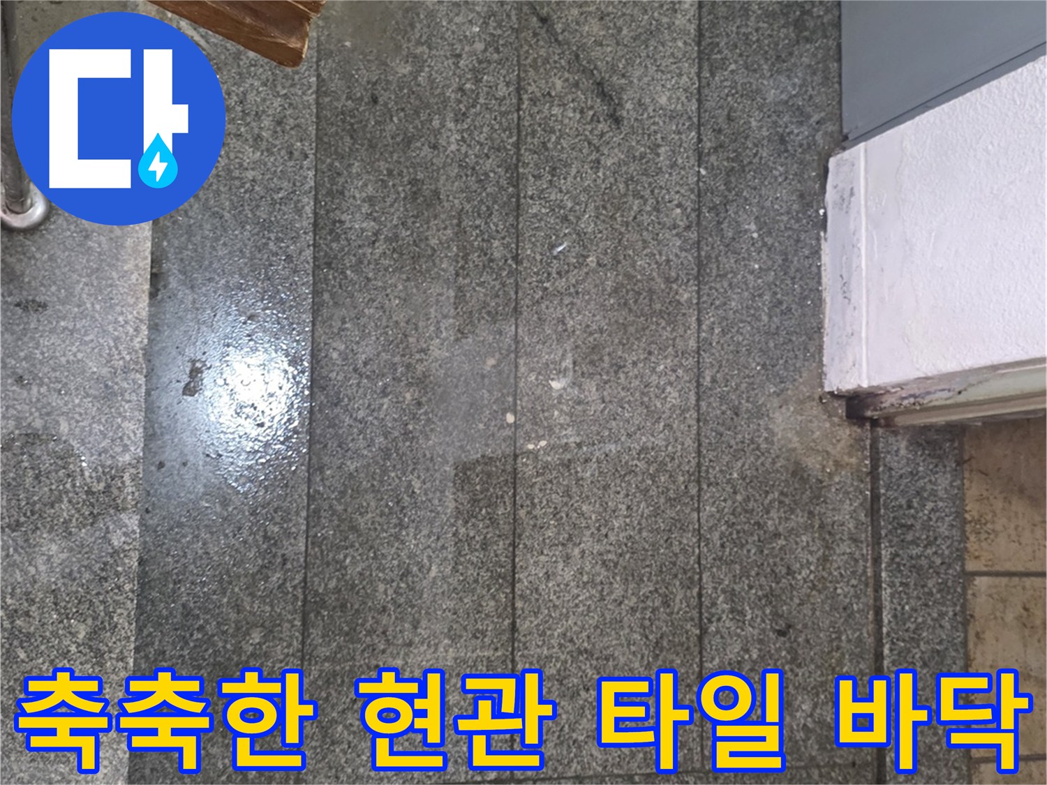 습기가 올라와 변색된 현관문 앞 타일 부위