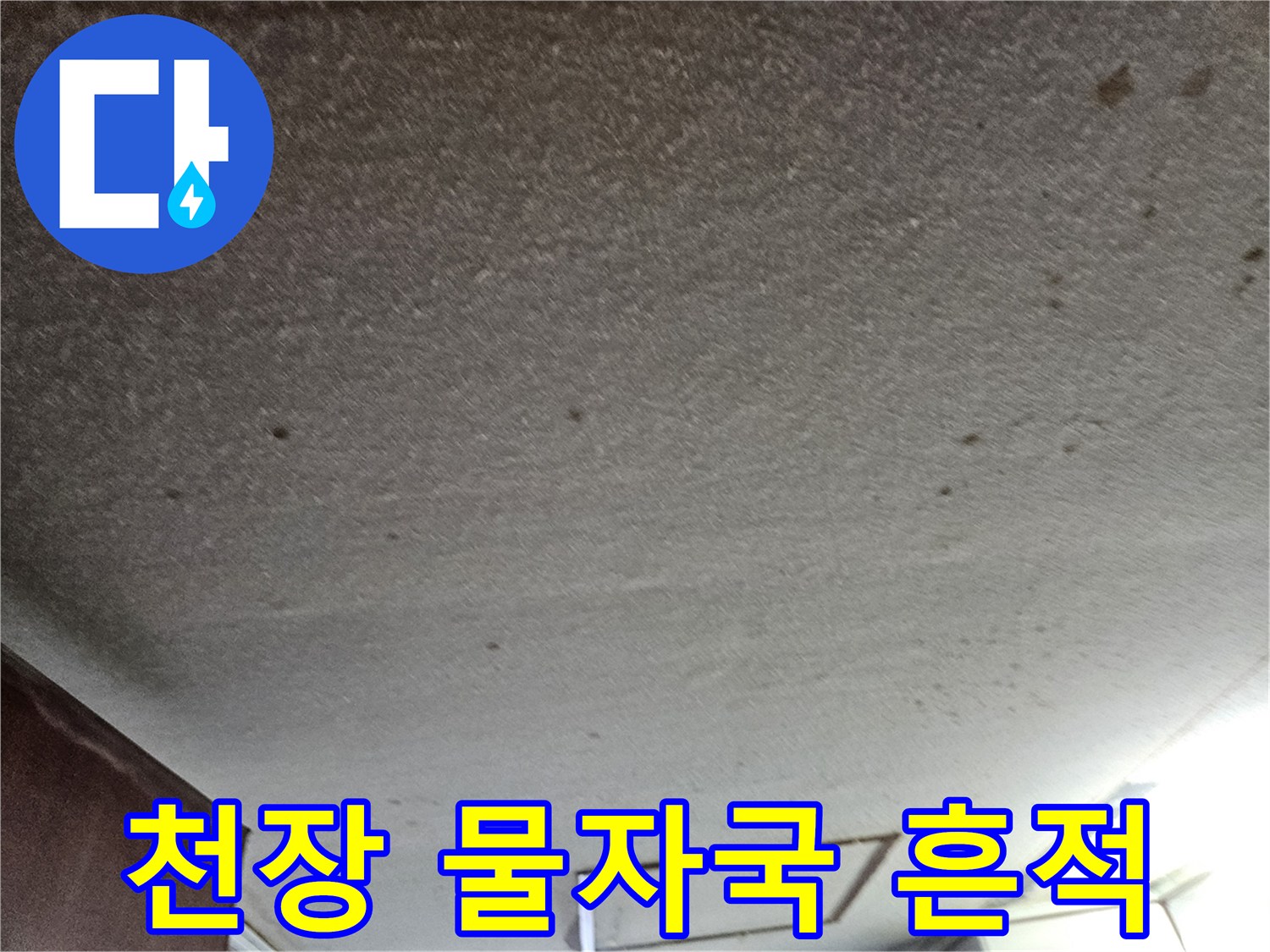 아파트 드레스룸-천장 벽지 물자국 현상