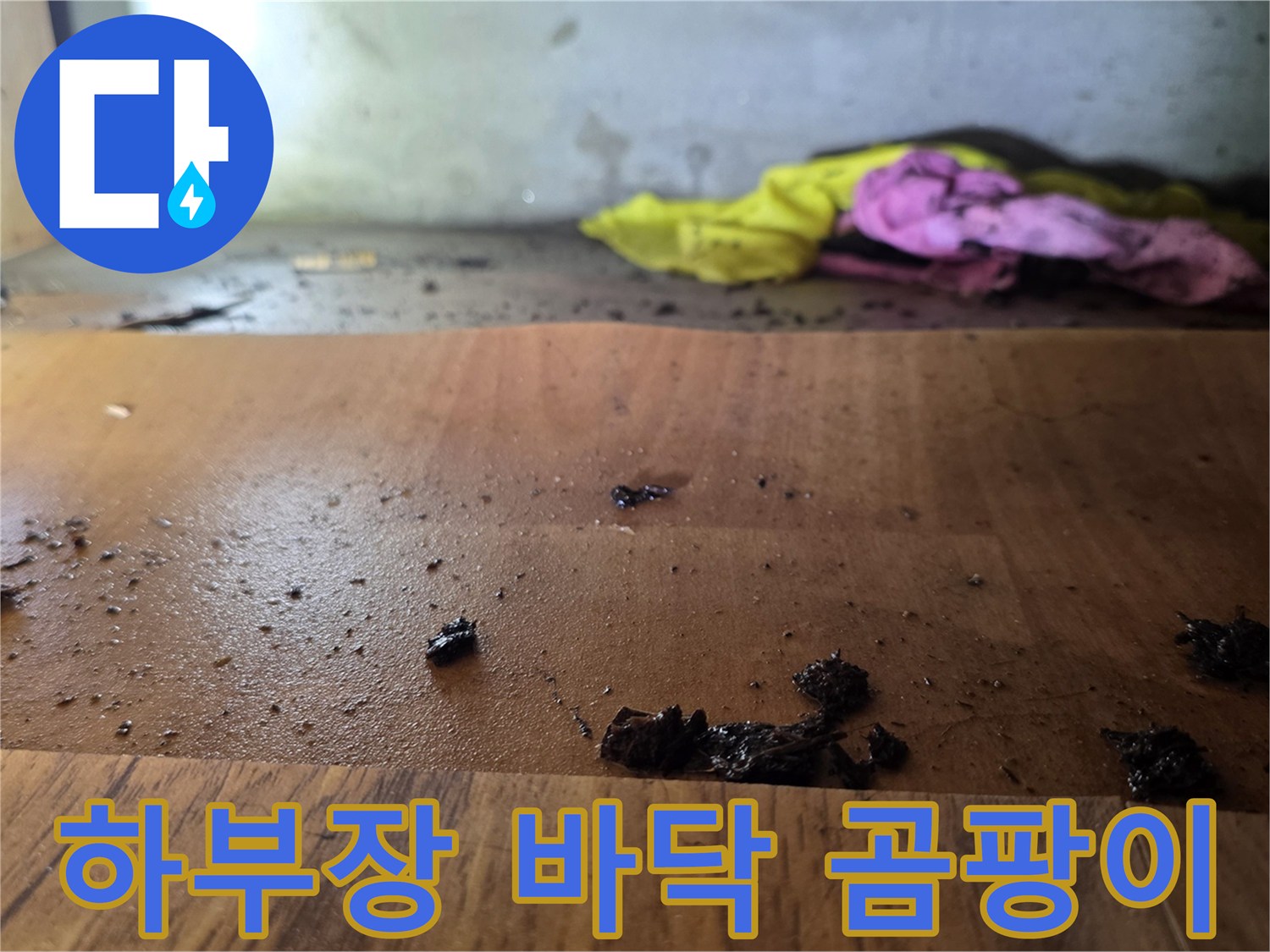 축축하게 젖은-싱크대 하단 나무판의 오염된 모습