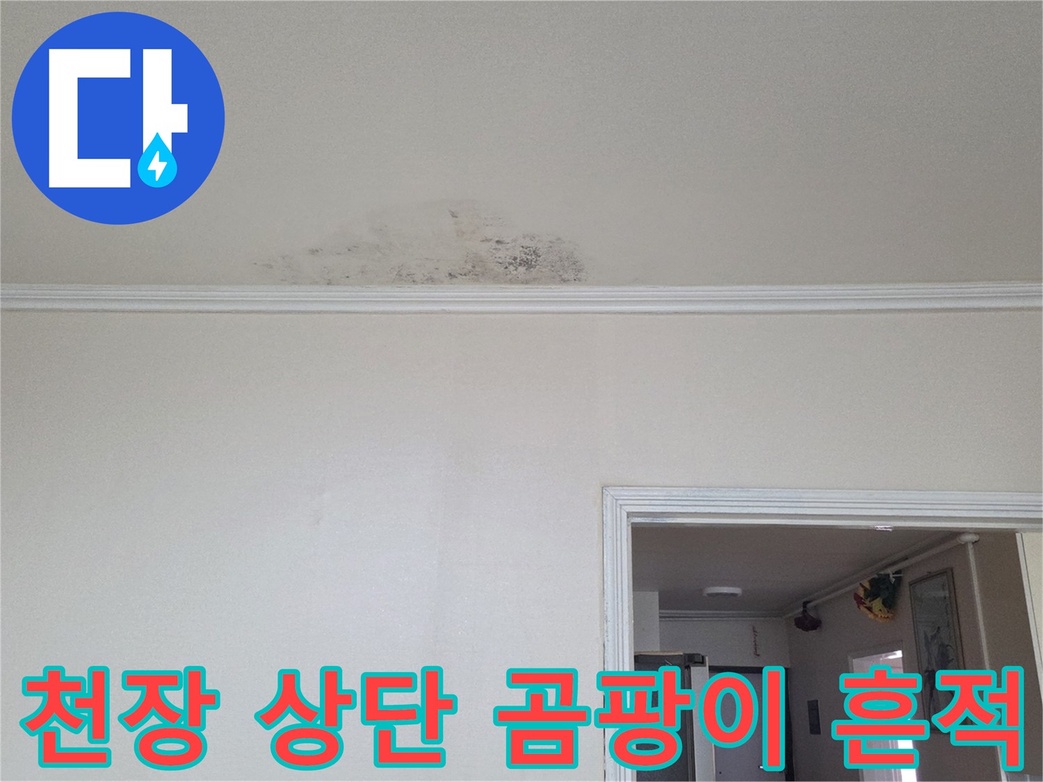 천장-벽면경계-누수흔적-및-곰팡이