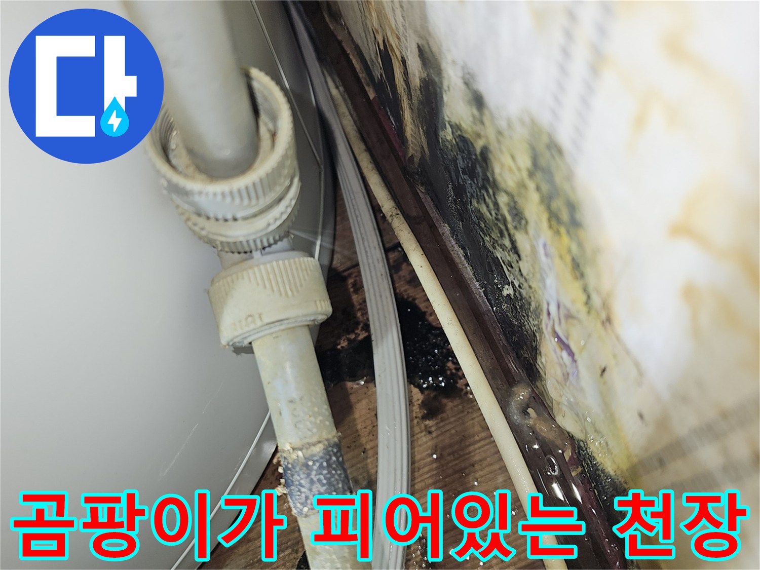 누수-영향으로-오염된-천장-및-배관-부위