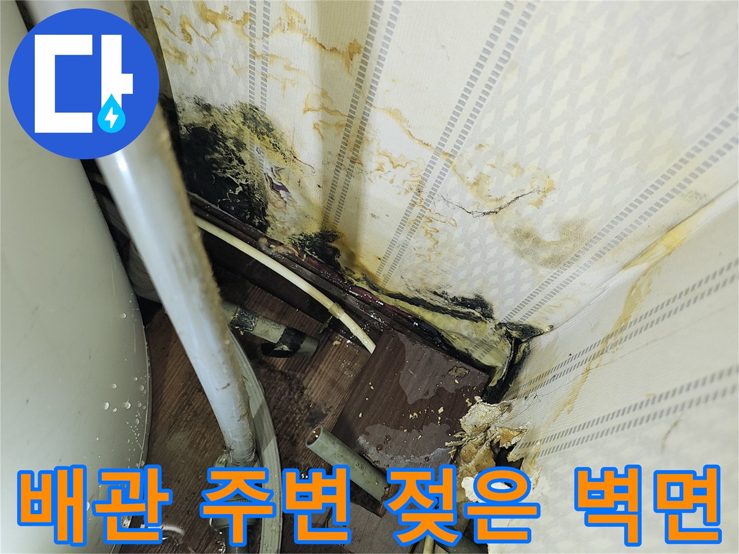 물샘으로 인해 곰팡이가 번진 상가 내부 벽면
