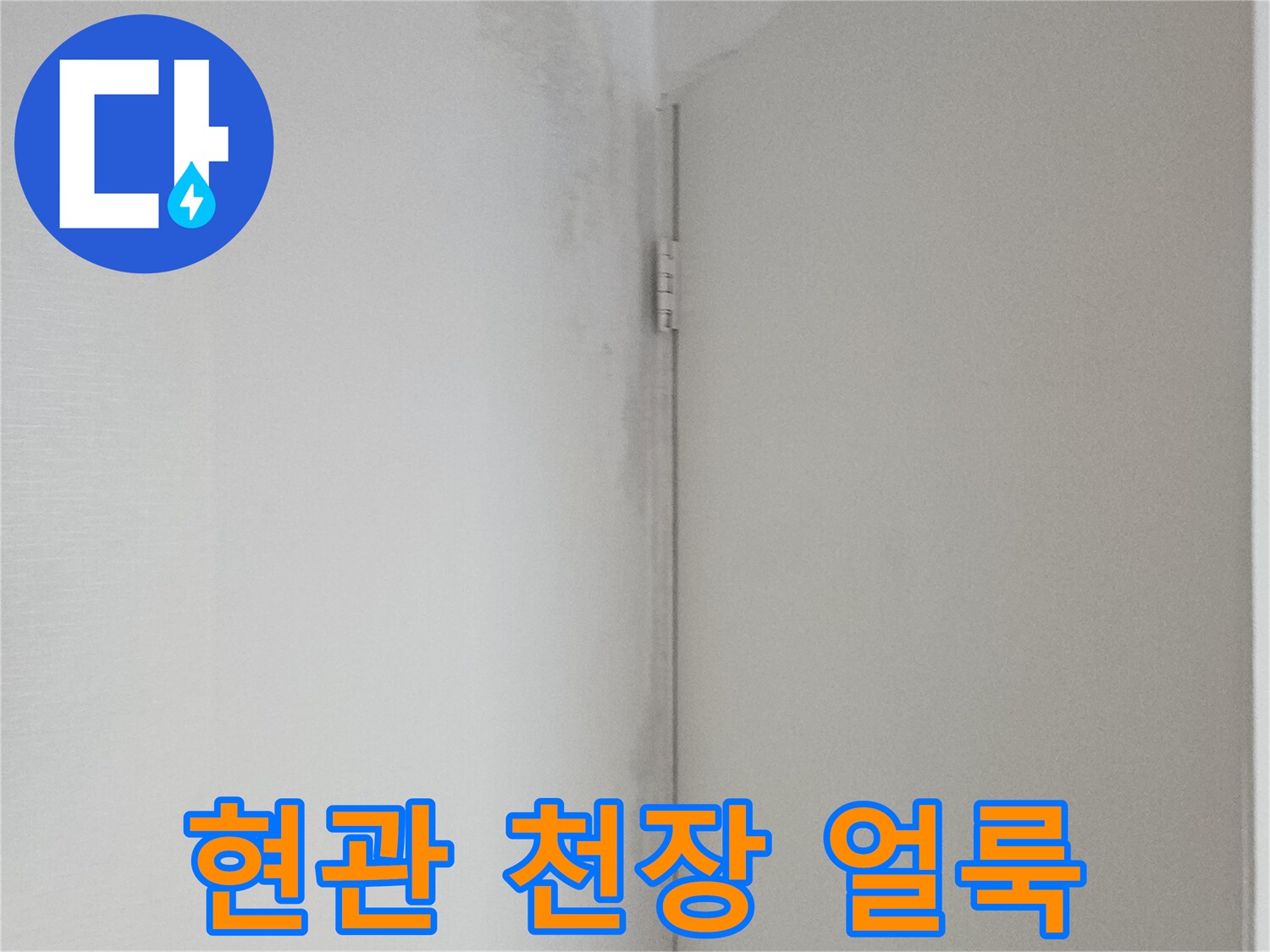 양천구 현관 천장 부근에 발생한 습기 및 변색 흔적