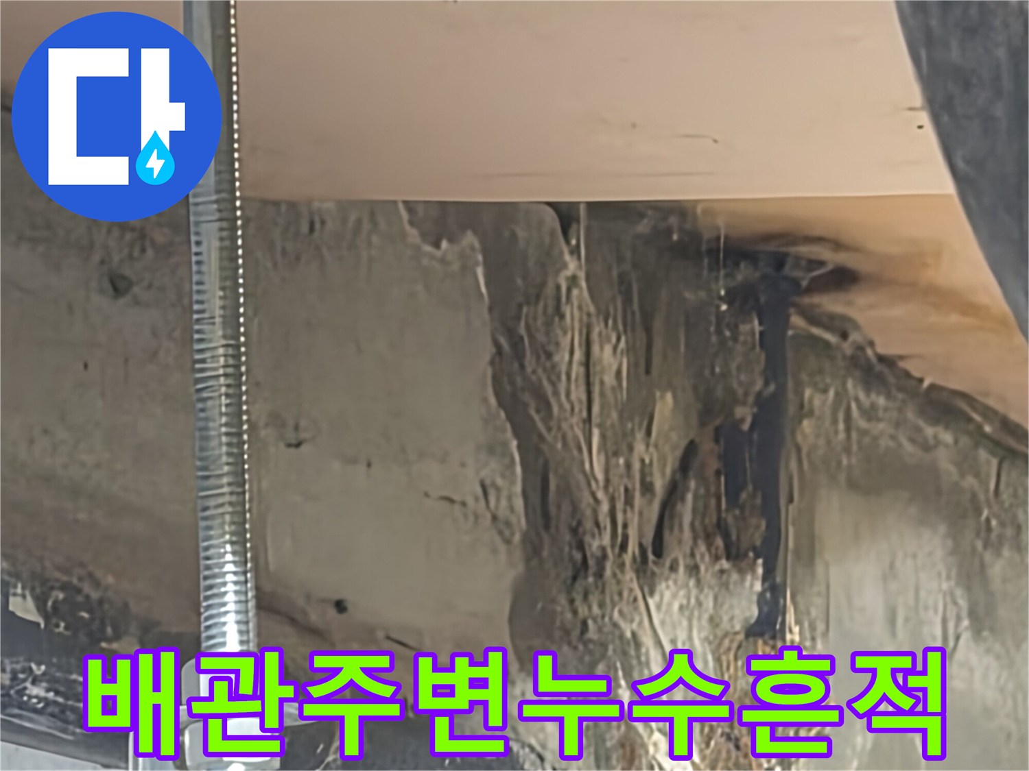 천장-배관-연결부-주변의-심한-물기-및-얼룩