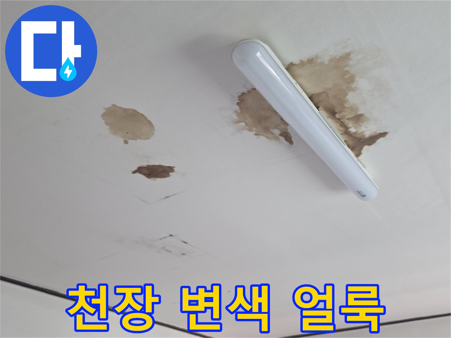 흰색 천장 마감재의 갈색 누수 오염 부위