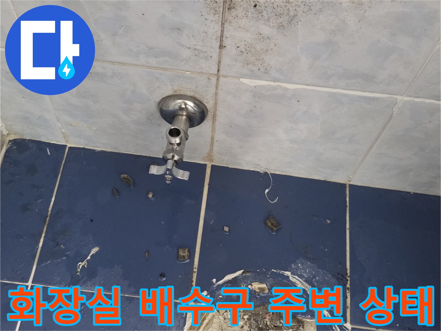 동두천-화장실-배수구-주변-타일-오염-상태