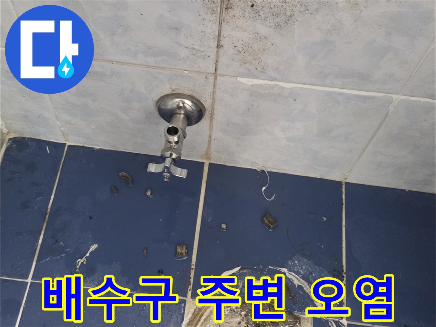 욕실-배수구-유가-주변-타일-상태
