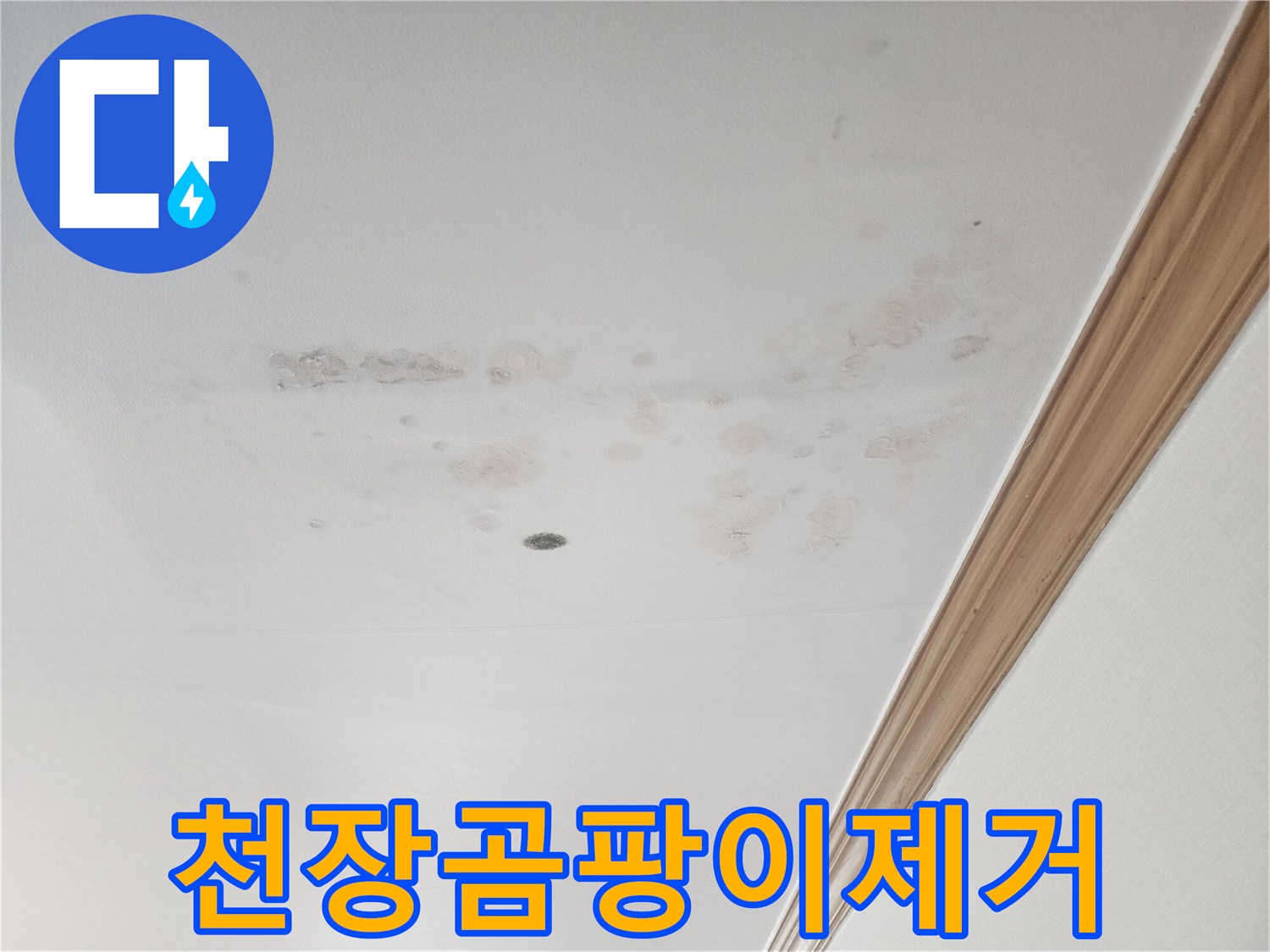 누수로 인해-손상된-아파트 천장의-현재 모습입니다.