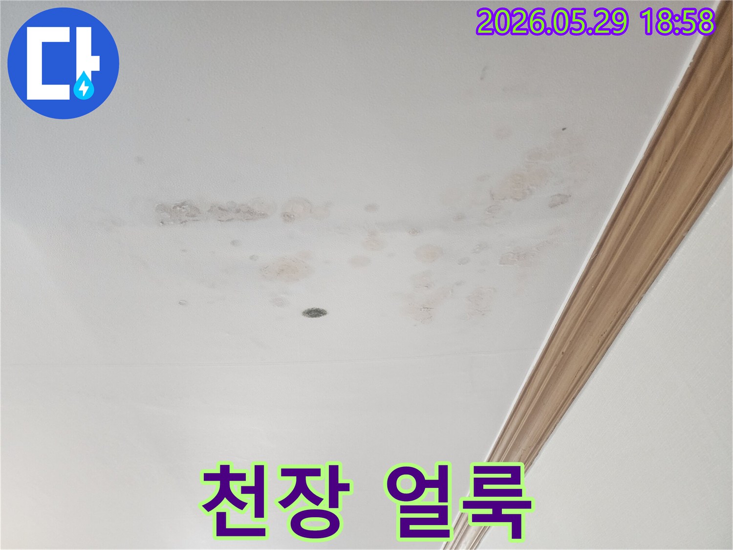 아파트-천장에-발생한-누수로-인한-곰팡이-및-오염-현상입니다.
