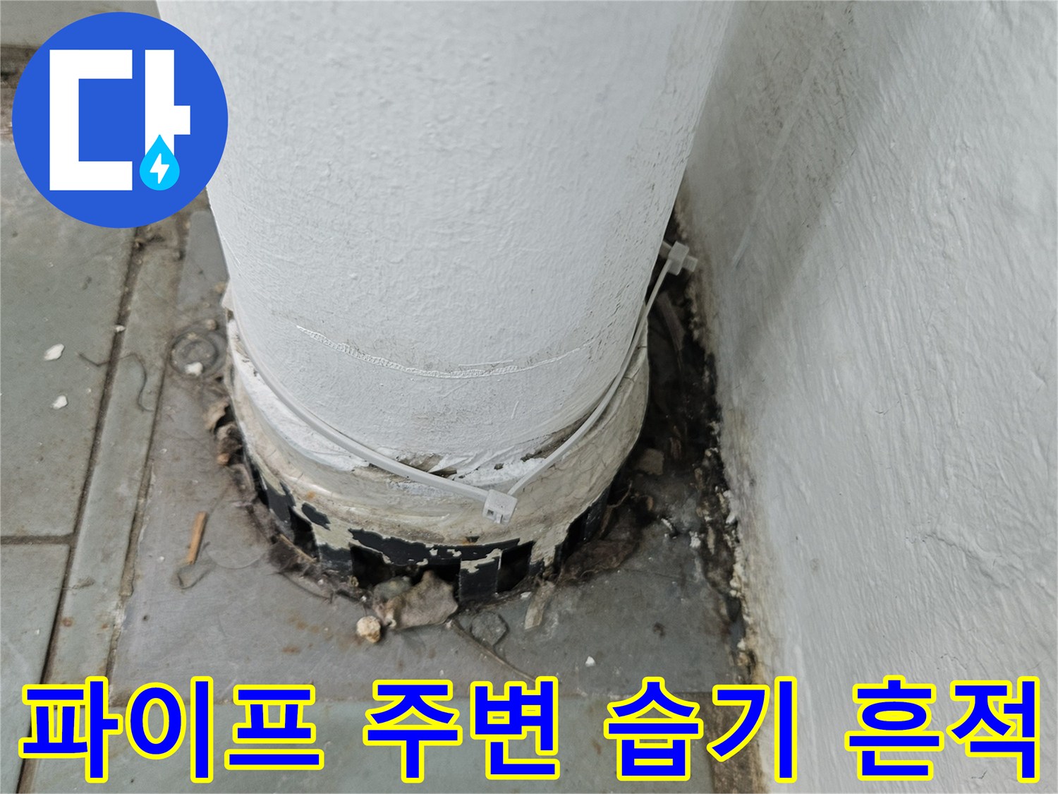 배관 주위의 젖은 타일과 오염된 마감 상태