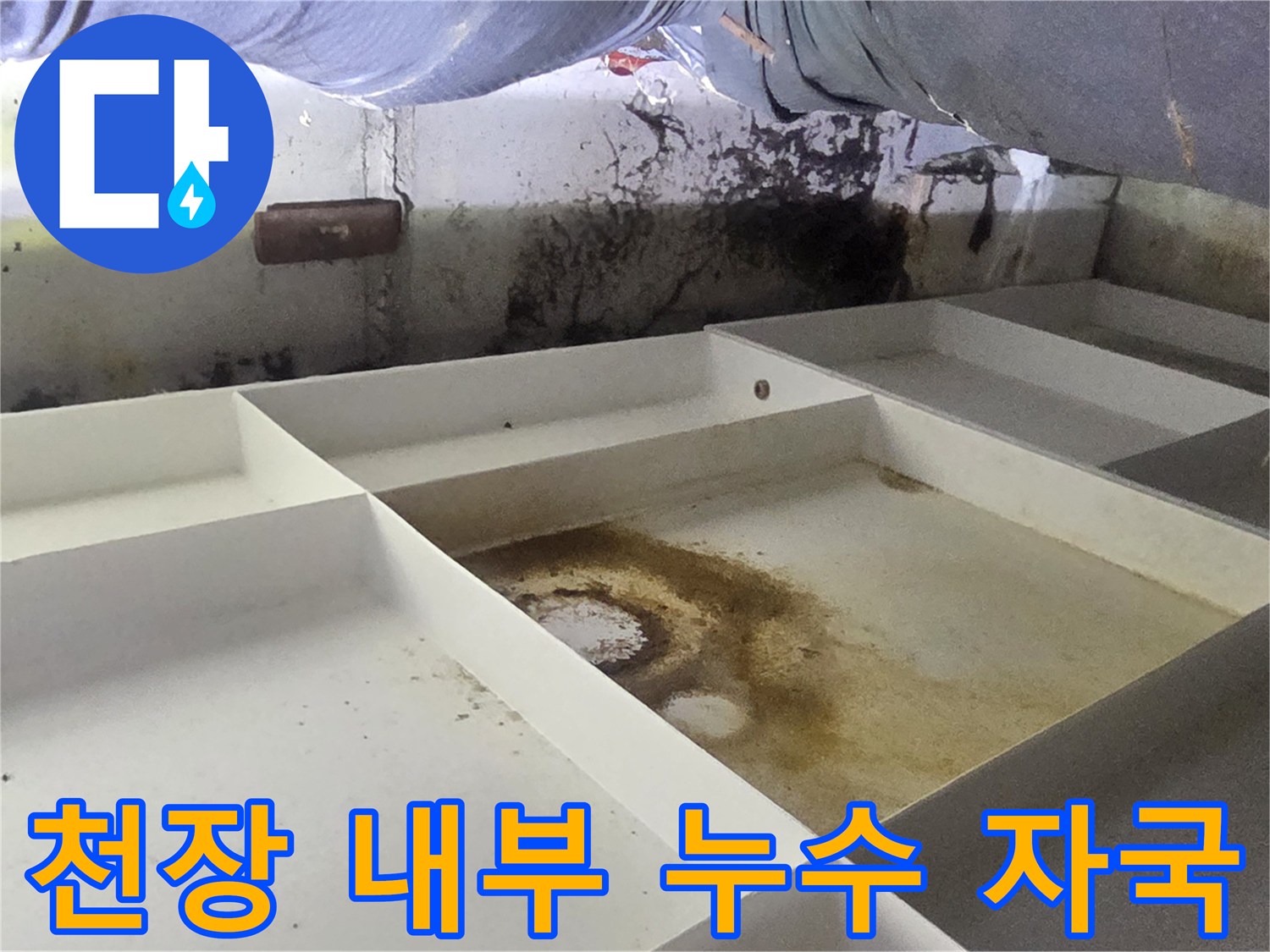 천장 구조물-배관 주변에 형성된 물 고임과 변색 부위