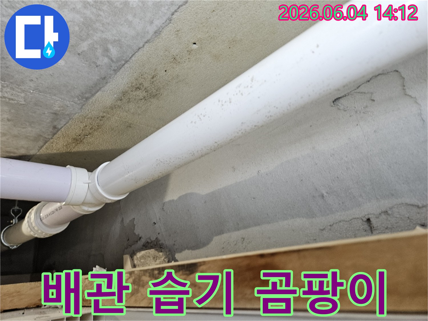 천장-콘크리트-벽면에-설치된-배관-주변으로-누수가-발생하여-습기와-곰팡이가-심하게-번식한-모습