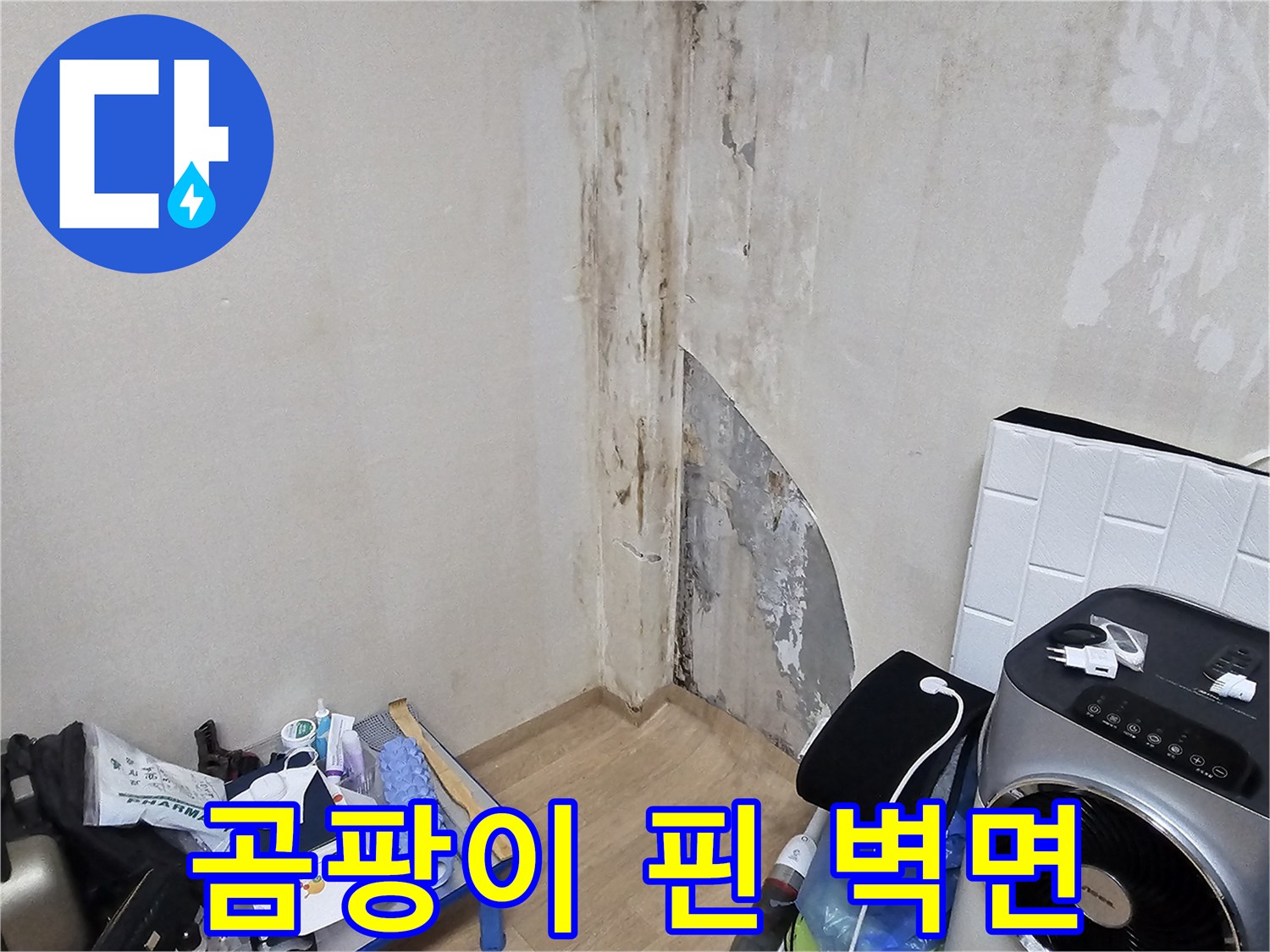 상가 내부 벽체-누수로 인한 곰팡이와 마감재 탈락 현장