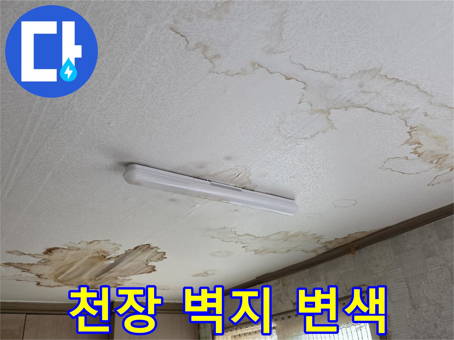 천장 벽지가 물에 젖어 얼룩진 모습 - 파주 교하 현장