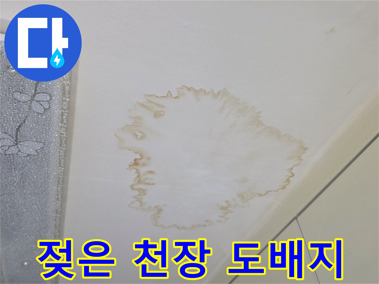 물샘으로 인해 갈색으로 변한 천장 면
