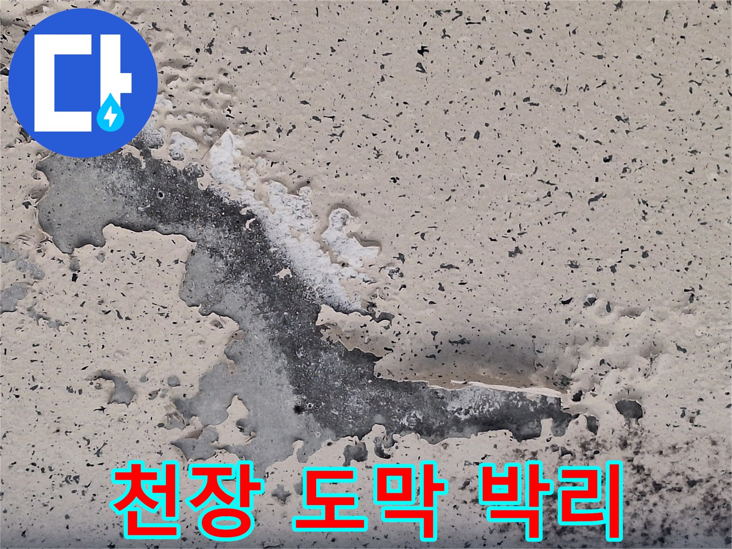 물샘으로-벗겨진-베란다-천장-표면