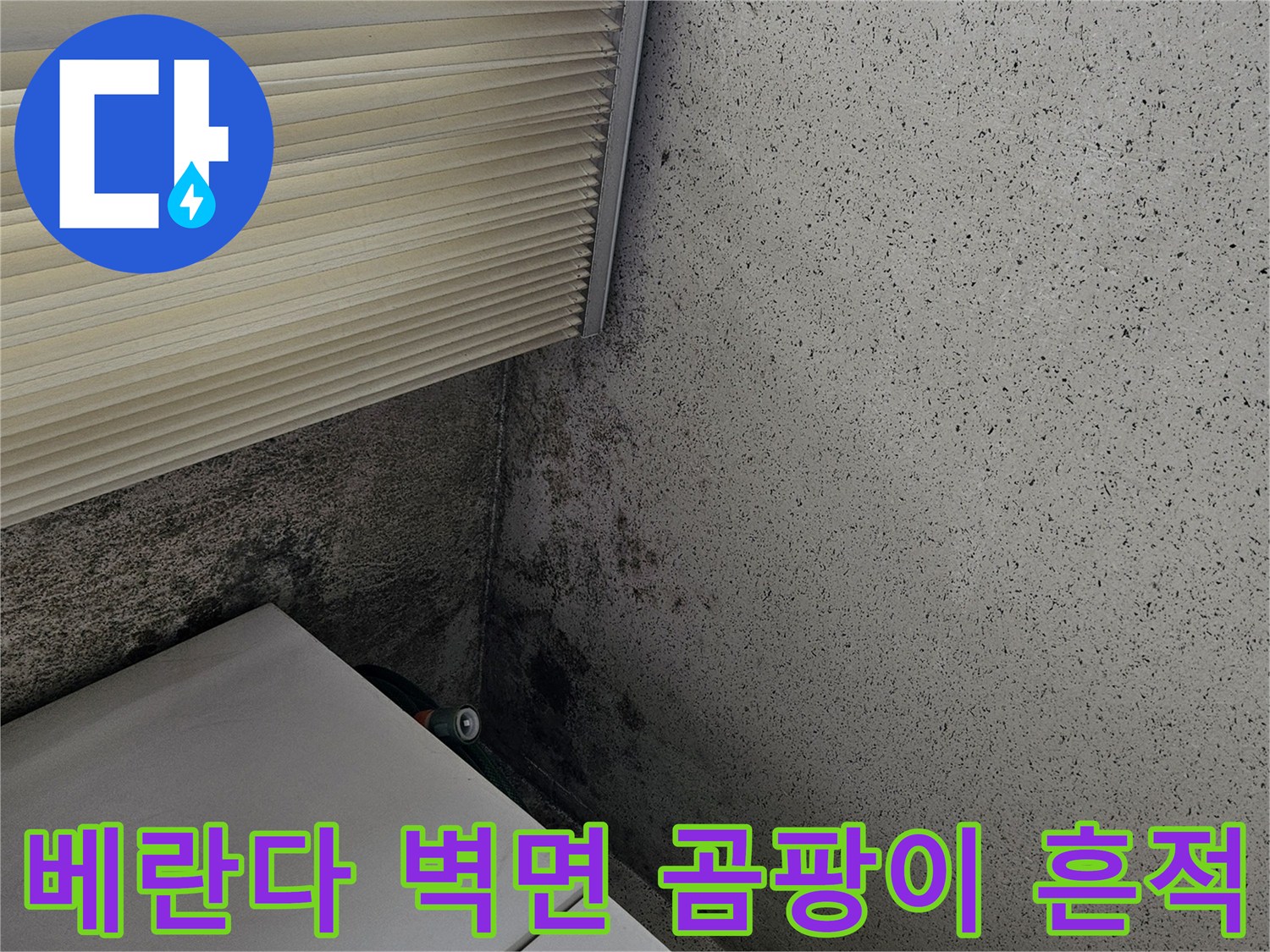 양주 아파트 베란다-벽면 곰팡이와 습기 흔적