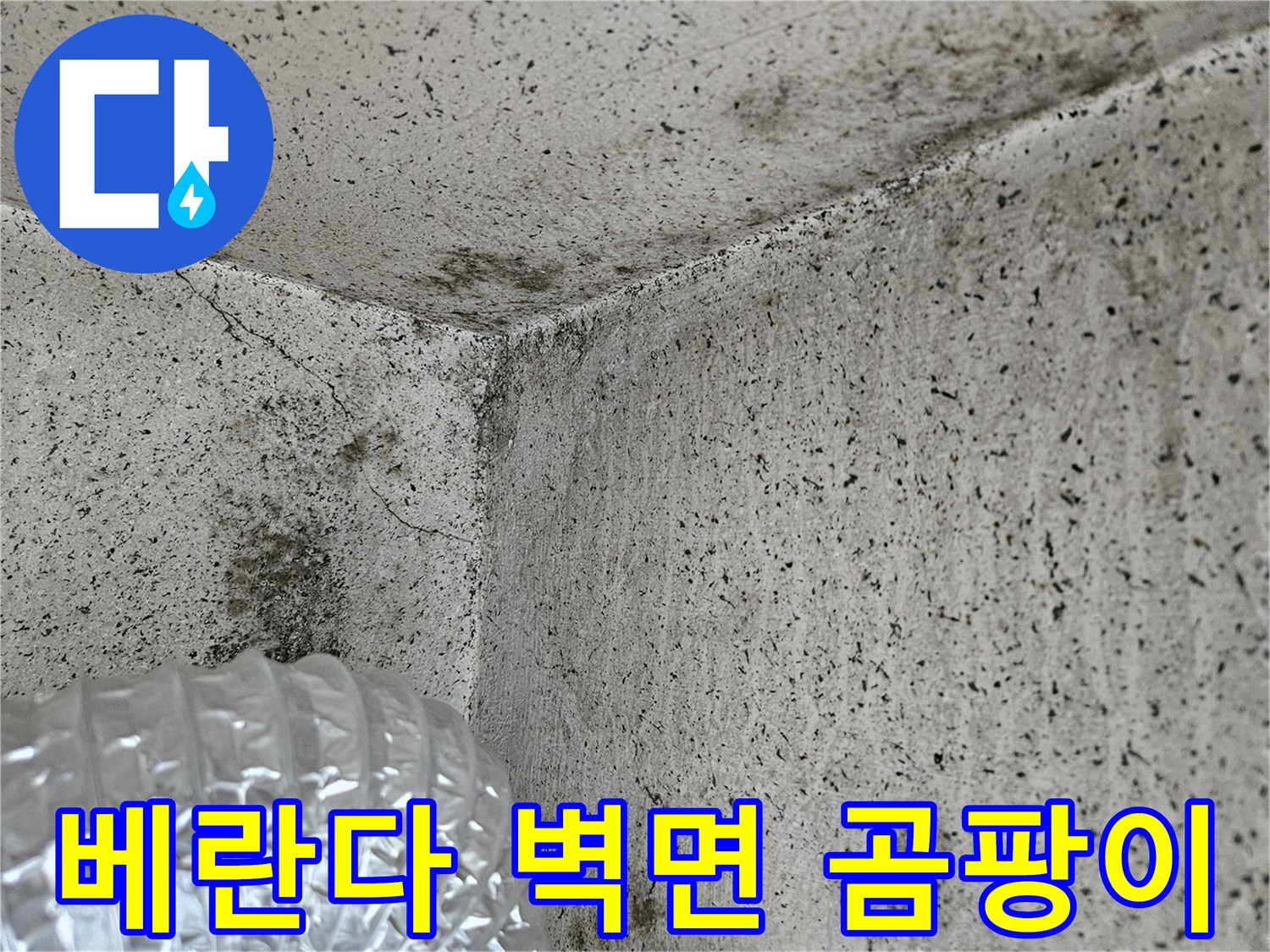 양주 아파트 베란다 벽면에 발생한 곰팡이와 습기 흔적