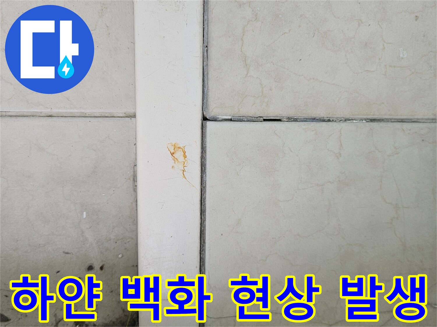 타일 줄눈 사이의 하얀 백화 자국과 균열 부위