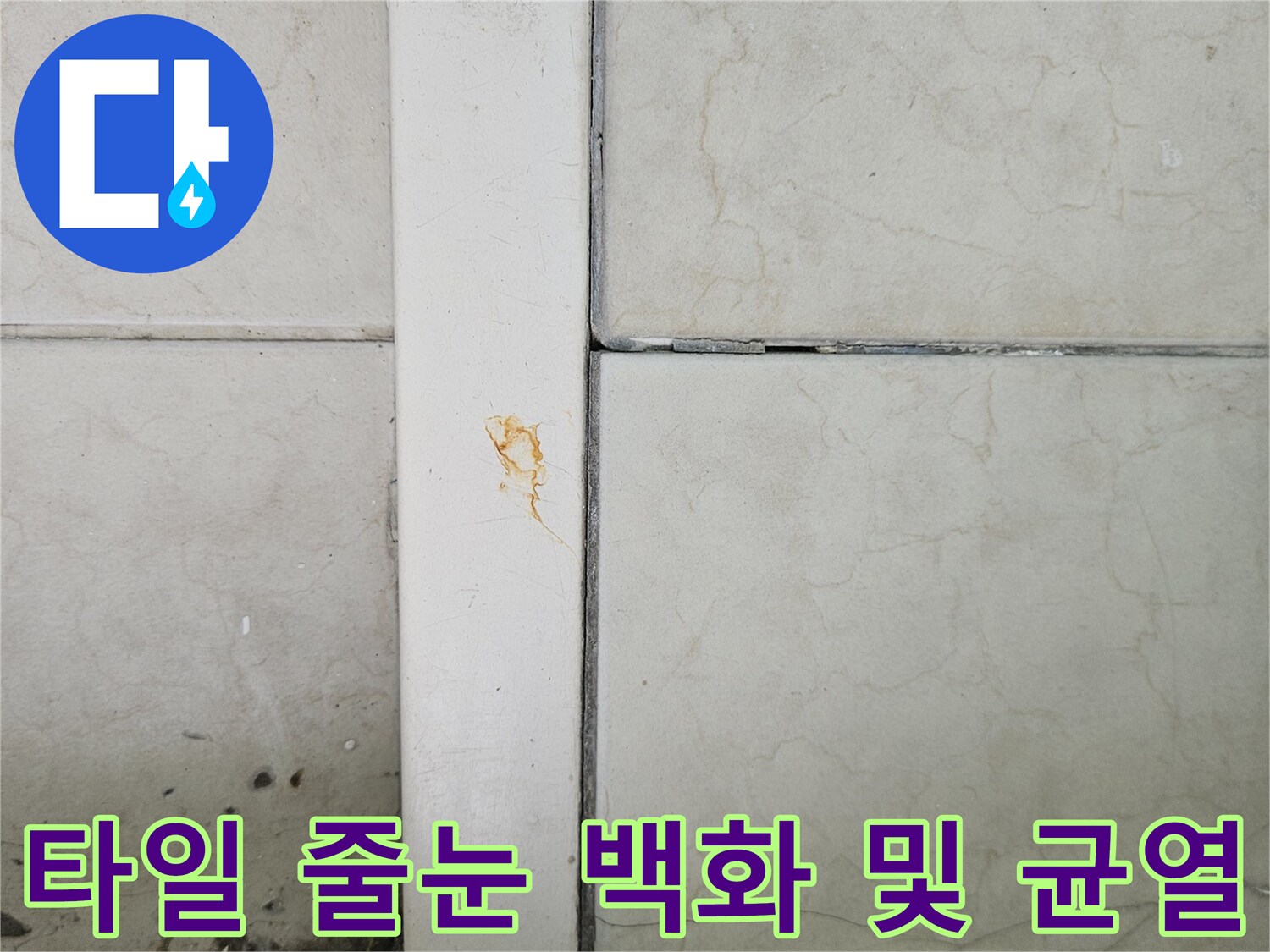 하얗게 변한 타일 줄눈과 미세하게 갈라진 틈새
