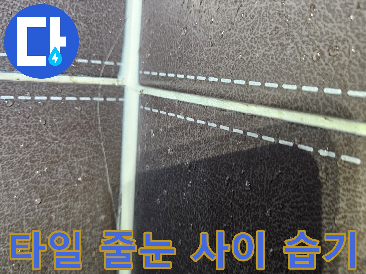 타일-줄눈-사이로-스며든-습기와-물기
