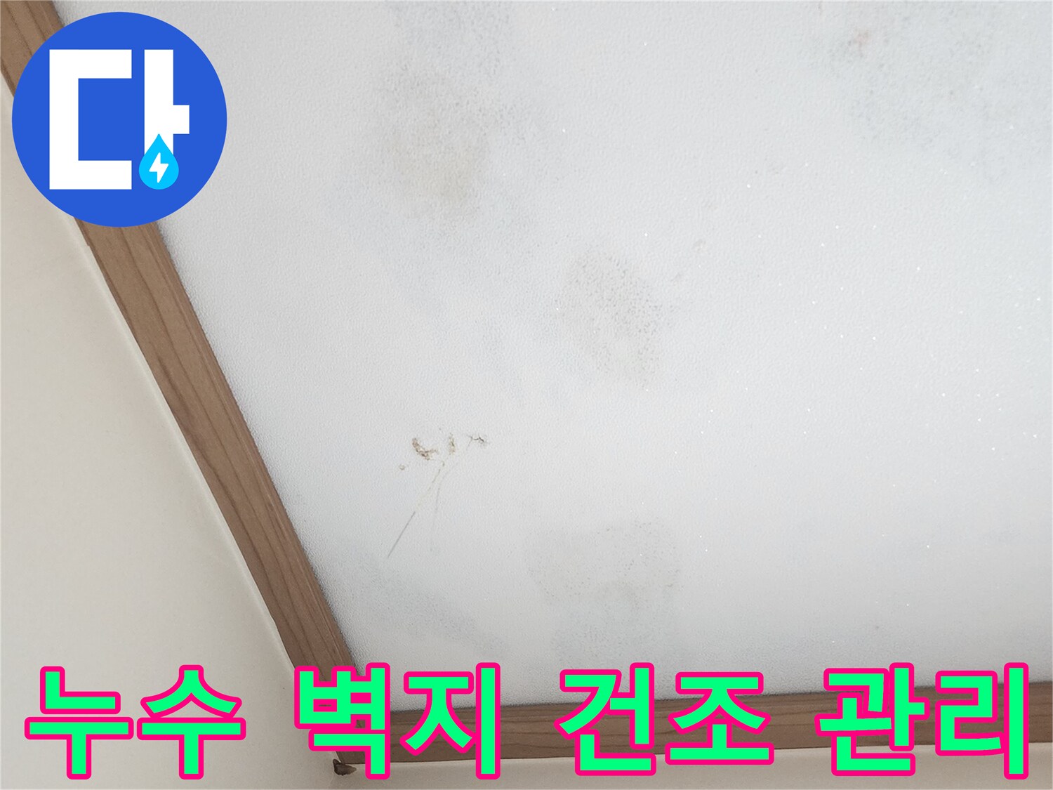 누수-관리-후-벽지-건조-상태-확인-사진
